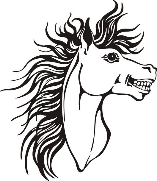 disegno testa di cavallo
 - Vettoriali, immagini