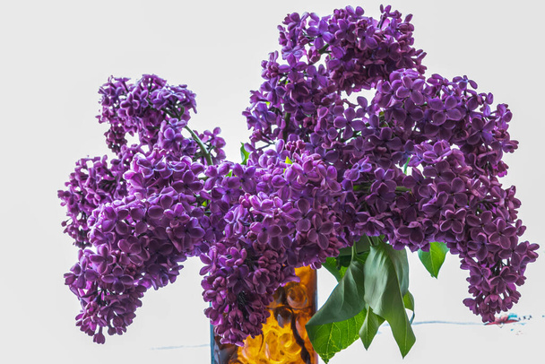 Les branches de velours lilas dans un vase - Photo, image