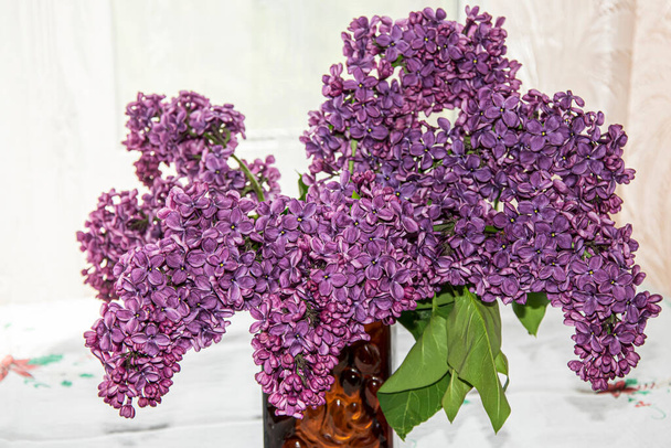 The branches of velvet lilac in a vase - Photo, Image
