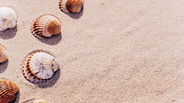 Hallo Sommer mit Muscheln, Seesterne auf Sand Ozean Strand Hintergrund. Exotischer Strand mit Kopierraum - Foto, Bild