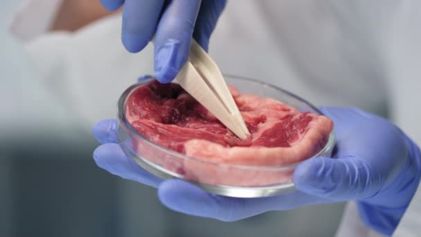 Primer plano en cámara lenta de manos científicas irreconocibles sosteniendo una muestra artificial de carne cultivada en una placa de Petri, utilizando pinzas para extraer una pequeña parte para su posterior análisis - Imágenes, Vídeo