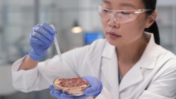 Close-up em câmera lenta de cientista asiática concentrada analisando amostra de carne regular em laboratório moderno, comparando-a com uma cultivada, dispensando algum líquido em carne com conta-gotas - Filmagem, Vídeo