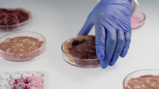 Primer plano de científico irreconocible cerrando placa petri con tapa con inscripción de carne de soja en ella haciendo investigación en laboratorio - Imágenes, Vídeo