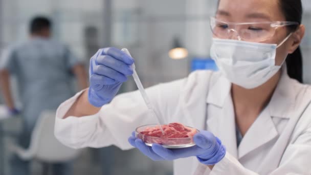 Slowmo κοντινό πλάνο του γυναικείου Ασιάτη επιστήμονα που διανέμει υγρό σε δείγμα κρέατος in vitro με σταγονόμετρο σε φωτεινό σύγχρονο εργαστήριο - Πλάνα, βίντεο