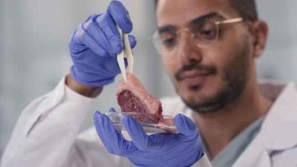 Zeitlupe Nahaufnahme eines Wissenschaftlers aus der Mikrobiologie des Nahen Ostens beim Betrachten einer Fleischprobe, die er mit einer Laborpinzette für Forschungszwecke hält - Filmmaterial, Video