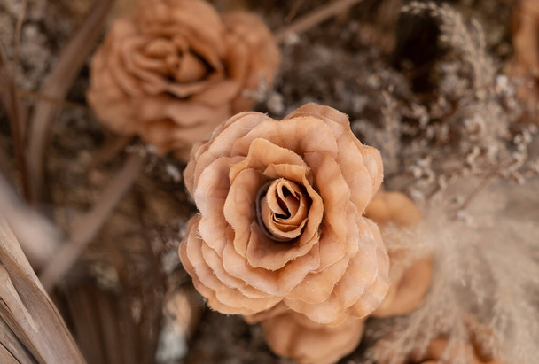 ξηρό φόντο λουλούδι, υφή χρώματος - Φωτογραφία, εικόνα