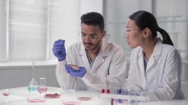 Images au ralenti moyen de deux scientifiques de microbiologie multiethnique examinant des échantillons de viande in vitro qui distribuent des liquides de béchers chimiques à l'aide de compte-gouttes de laboratoire - Séquence, vidéo