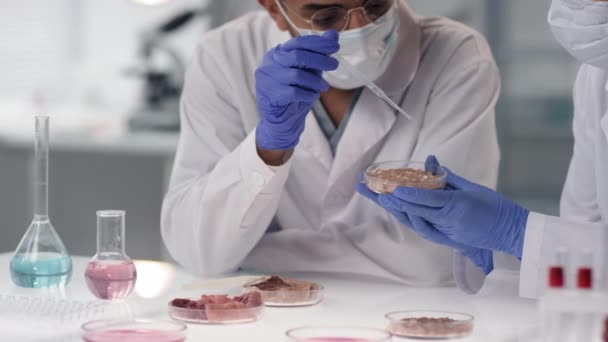Slowmo Gros plan des microbiologistes en laboratoire expérimentant des échantillons de viande, comparant ceux cultivés régulièrement et ceux cultivés en laboratoire, discutant des résultats - Séquence, vidéo