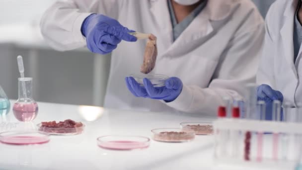 Inquadratura rallentata a sezione centrale di due scienziati di microbiologia irriconoscibili che osservano e analizzano campioni di carne regolari e artificiali, confrontandoli, seduti in laboratorio bianco - Filmati, video