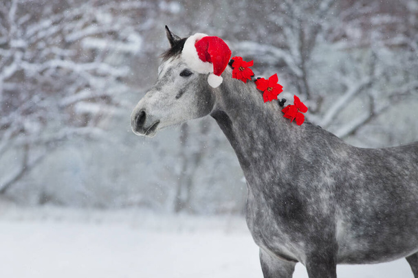 Cheval blanc avec tresse principale avec décoration de Noël rouge - Photo, image