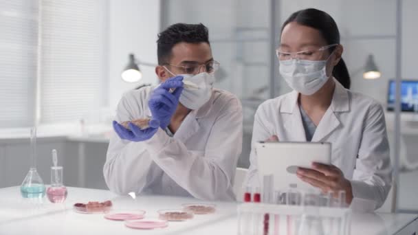 Medium slow-motion footage of multi-ethnic microbiology scientists in masks observing lab-grown meat sample making notes on digital tablet - Footage, Video