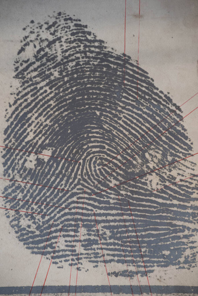 an enlarged and printed out fingerprint for investigation in forensics - Photo, Image