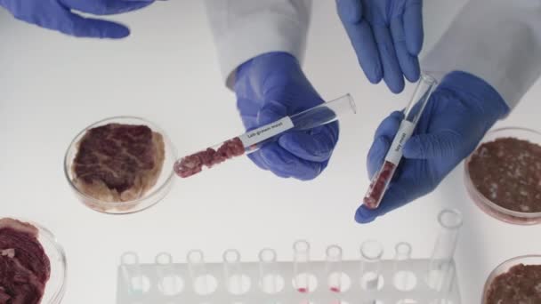 Filmati in alto di microbiologi irriconoscibili che tengono provette con campioni di carne di soia e coltivata in laboratorio - Filmati, video