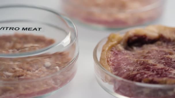 Ekstremalne zbliżenie nierozpoznawalnego naukowca zamykającego naczynia Petriego pokrywką z napisami in vitro i mięsa sojowego na nich przeprowadzającego eksperyment w laboratorium - Materiał filmowy, wideo
