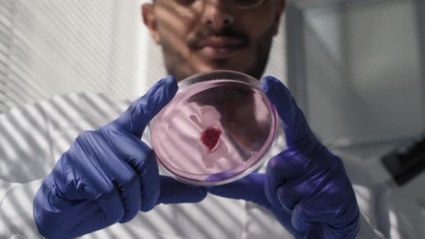 Primer plano en cámara lenta del investigador de microbiología masculino que sostiene un plato de plástico con sustancia de gel rosa y un pequeño trozo de muestra de carne cultivada en laboratorio que lo examina cuidadosamente - Imágenes, Vídeo