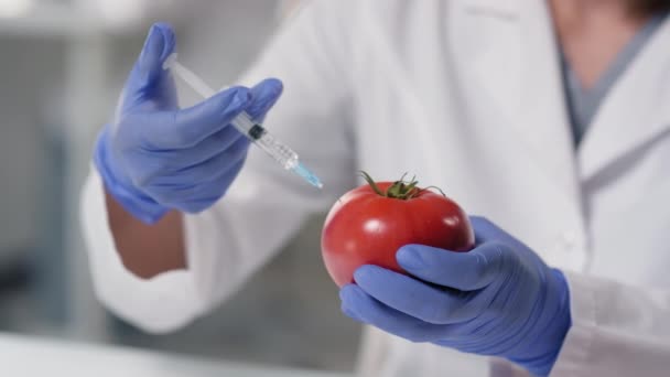 Primer plano en cámara lenta de un científico irreconocible inyectando jeringa con vitaminas artificiales al tomate gm en un laboratorio moderno - Metraje, vídeo