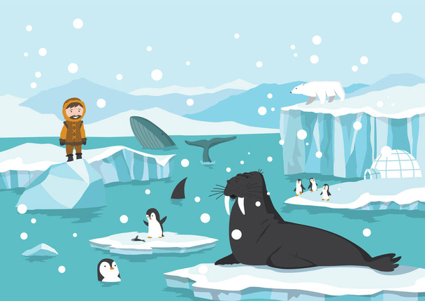 Βόρειος Πόλος Αρκτικός. Λευκές αρκούδες, φώκιες και πιγκουίνοι παρασύρεται και τήξη παγετώνα στον ωκεανό, χιονισμένα βουνά παγόβουνο πολική χειμερινή εποχή κινουμένων σχεδίων διανυσματική απεικόνιση - Διάνυσμα, εικόνα