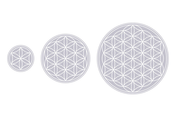 White Flower of Life, Core and Seed of Life over fields of gray. Geometric figures and spiritual symbols of the Sacred Geometry. Overlapping circles forming flower like patterns. Illustration. Vector. - Vector, Image
