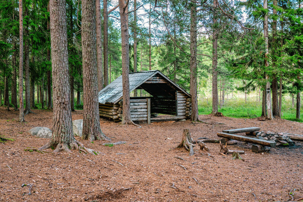 Refugio turístico de madera con chimenea en el bosque de pinos, día nublado de verano en el norte de Suecia, Laponia - Foto, imagen