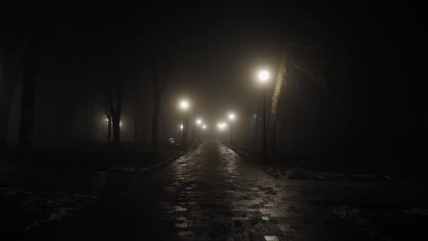Parco nebbioso buio vuoto illuminato da lanterne a mezzanotte - Filmati, video