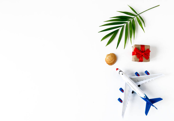 Summer banner with a palm leaf, an airplane, a shell, a gift on a white background. The concept of recreation. - Foto, afbeelding