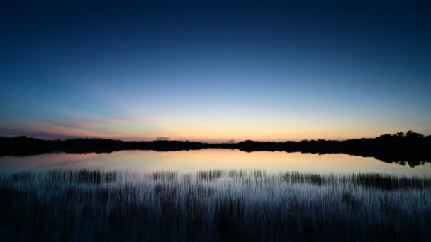 Värikäs auringonnousu timelapse yli yhdeksän mailin lampi Everglades National Park 4K. - Materiaali, video