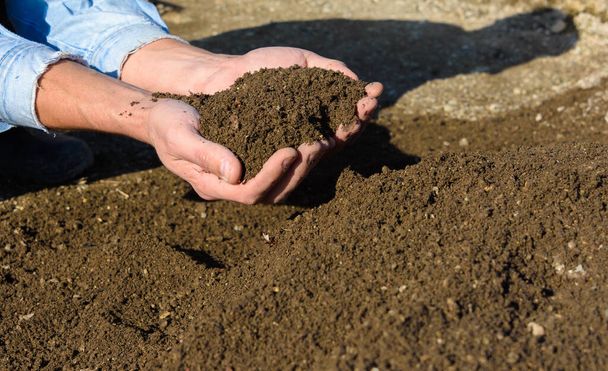Man's hands hold freshly sifted lawn soil - Photo, Image