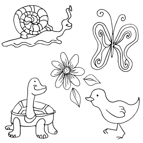 Nature Creatures - Vector, Image