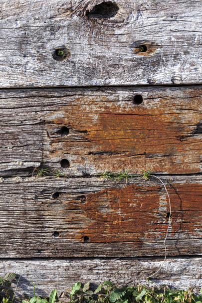 Old brown weathered distressed wood oak timber planks background stock photo - Photo, image