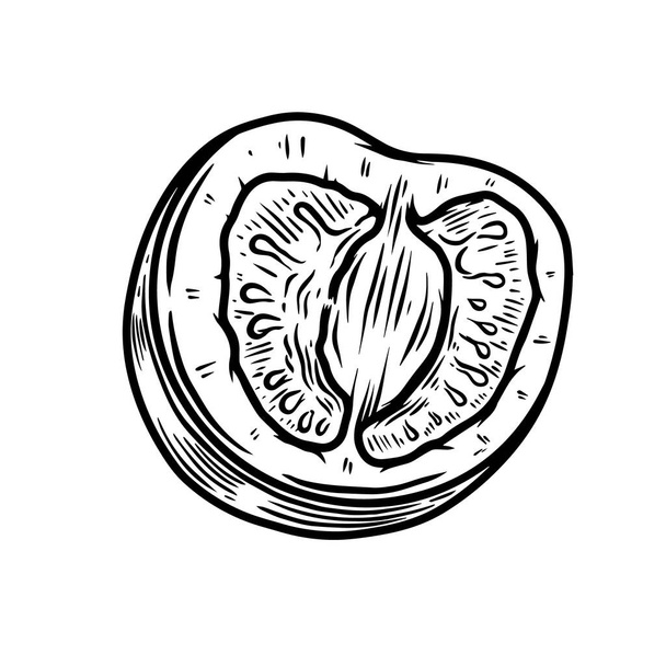 Illustration of cherry tomatoes isolated on white. Design element for poster, card, banner, flyer, menu. Vector illustration - Vector, imagen