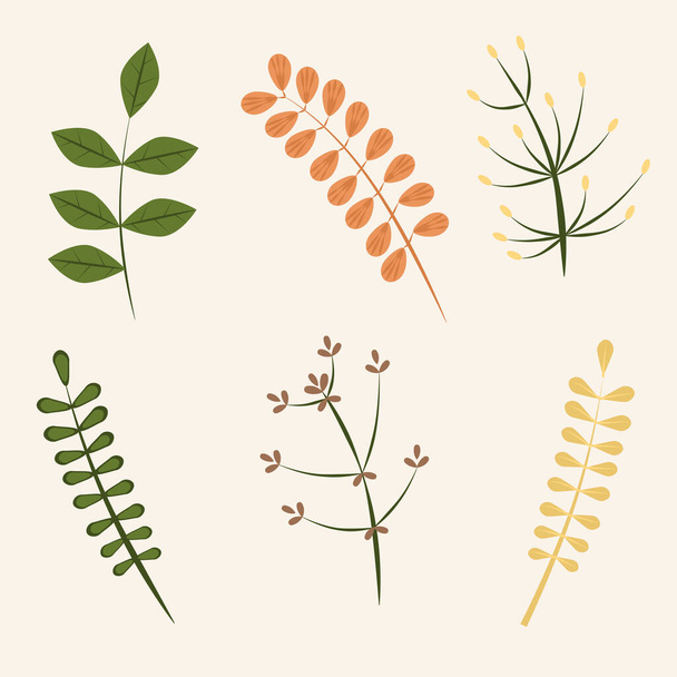  set di elementi di design della natura organica: ramoscelli e foglie, Collezione botanica - Vettoriali, immagini