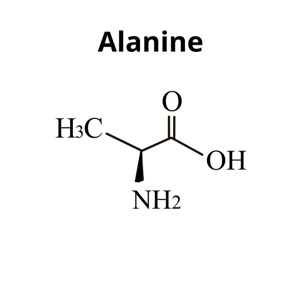 La alanina es un aminoácido. Fórmula molecular química Aminoácido de alanina. Ilustración vectorial sobre fondo aislado - Vector, imagen