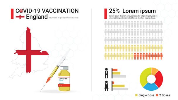 Covid-19 vaccine infographic. Coronavirus vaccination in England. Design by map of England, vaccine bottle, syringe and progress of English's immune reconstitution,  statistic chart. Vector illustration - Vector, Image