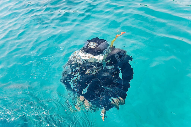 масковані дайвери занурюються під воду, хлопець плаває у воді, занурюючись у червоне море в Ісрі
 - Фото, зображення