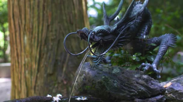 Statue Of Dragon Water Fountain In Garden. Locked Off, Close Up - Footage, Video
