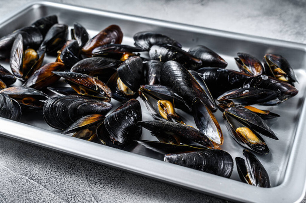 Seafood fresh blue mussels in kitchen steel tray. White background. Top view - Photo, Image