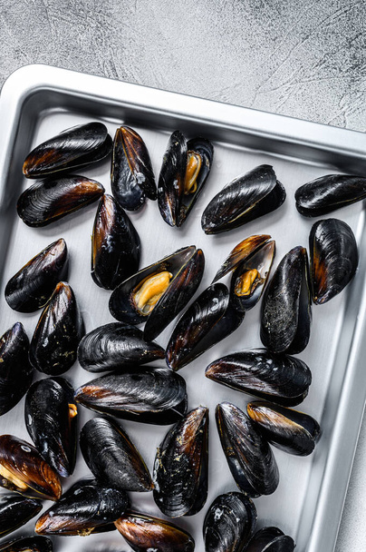 Meeresfrüchte frische Miesmuscheln in Küchenstahlschale. Weißer Hintergrund. Ansicht von oben - Foto, Bild