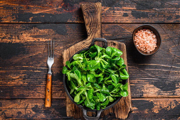 Fresh Raw green lambs lettuce Corn salad leaves in a pan. Dark wooden background. Top view - Фото, изображение