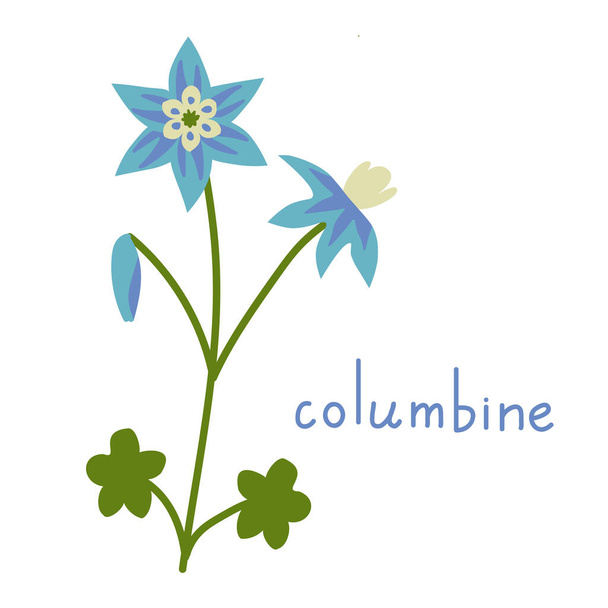 Columbine vektori kukka eristetty kuva - Vektori, kuva