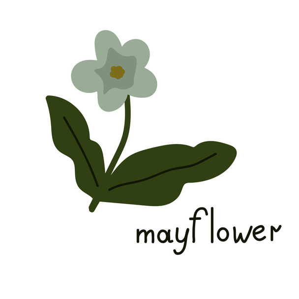 Mayflower vector flor aislada ilustración - Vector, Imagen