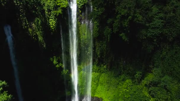 Сильний тропічний водоспад у зеленому тропічному лісі. - Кадри, відео