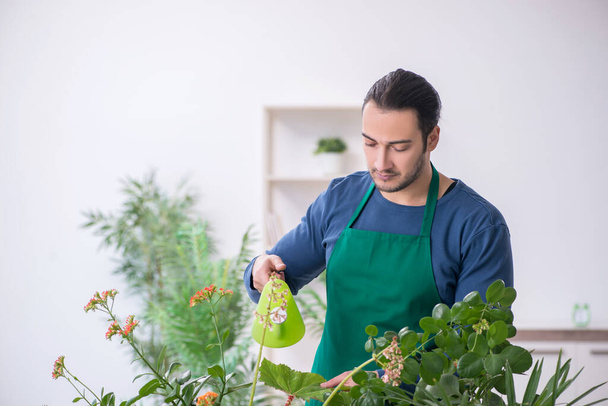 Young male gardener with plants indoors - 写真・画像