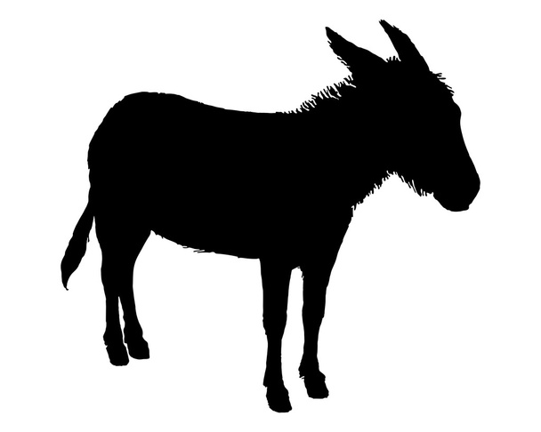La silhouette nera di un asino su bianco
  - Vettoriali, immagini