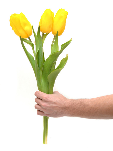 Tulpen in man's - Foto, afbeelding