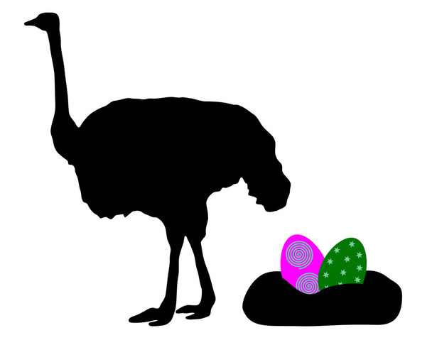 Avestruz con huevos de Pascua
 - Vector, imagen