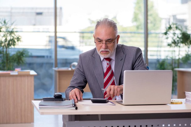 Aged businessman employee working in the office - Photo, Image