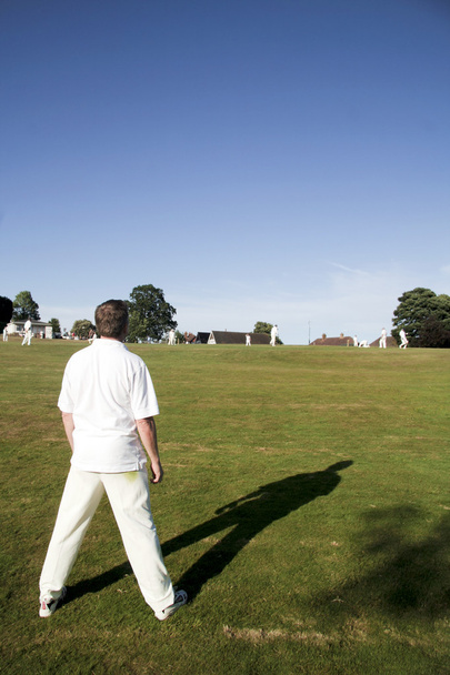 Сельский крикет
 - Фото, изображение