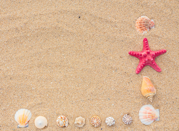 Морская звезда и волна на песчаном пляже
 - Фото, изображение