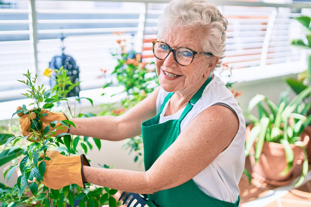 Mujer mayor con el pelo gris usando guantes y delantal de jardinero jardinería las plantas en casa - Foto, imagen