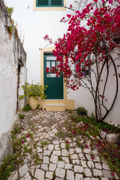 Ancienne rue étroite avec des fleurs dans la région de l'Algarve, Portugal - Photo, image